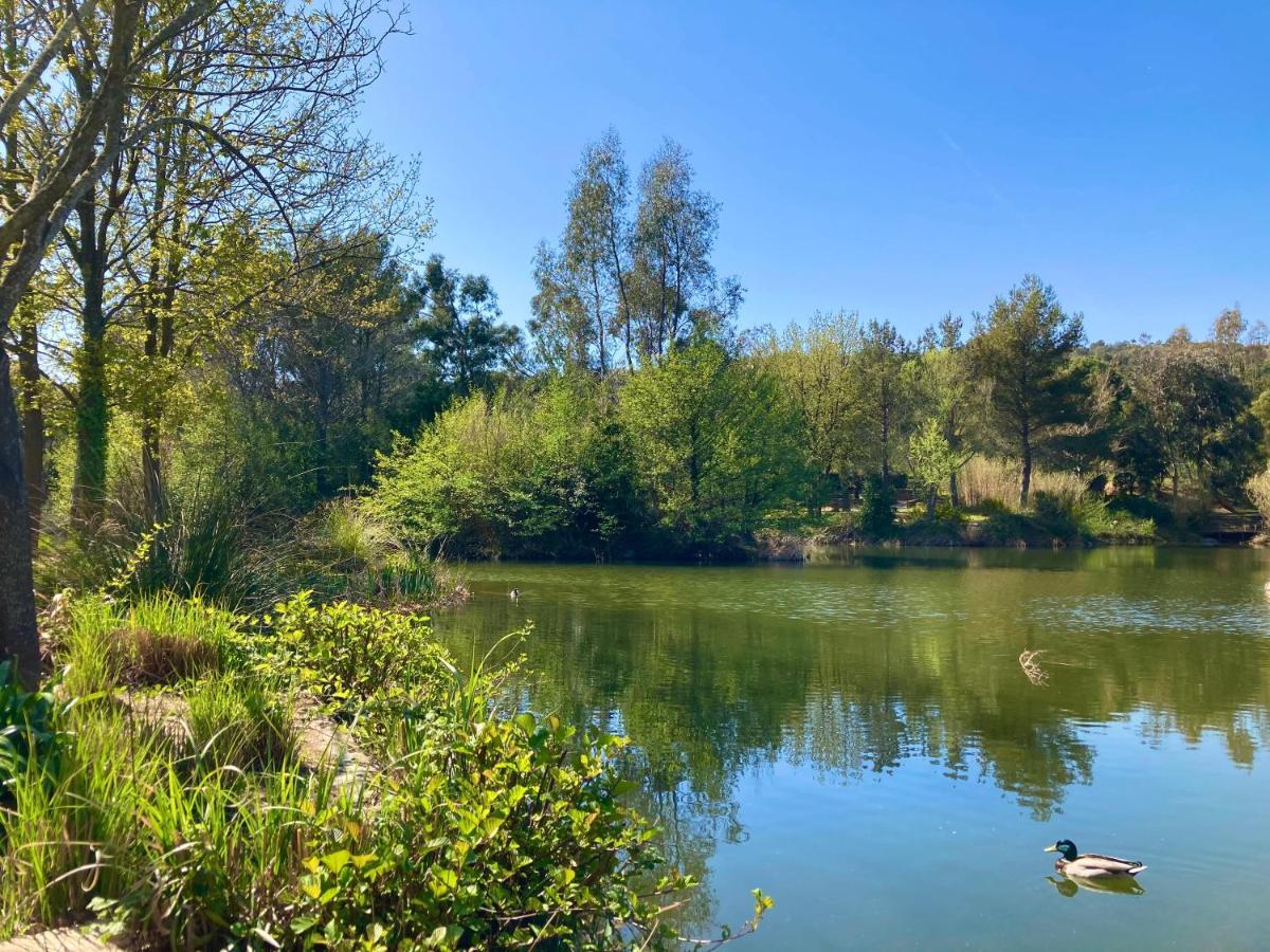 Les Restanques 2268 Glycines Apartman Grimaud Kültér fotó